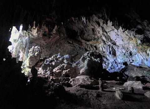Do the Best Los Haitises Park Tours from Samana Dominican Republic.